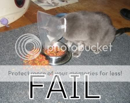FAIL.jpg