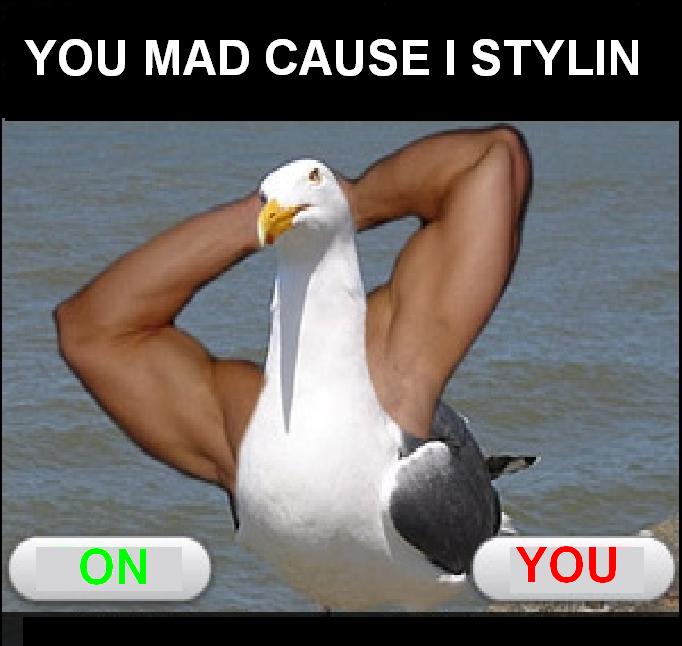 stylin.jpg